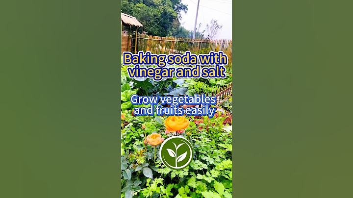 Baking soda with vinegar and salt #shortvideo #plants #youtubeshorts #howto #viralvideo #video