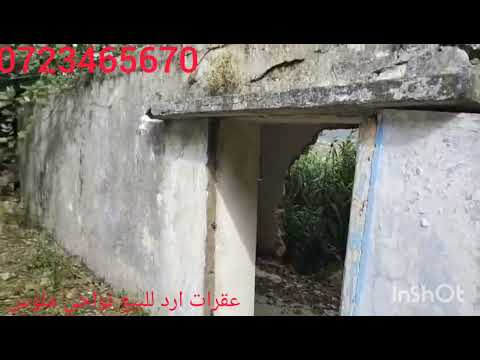 انا جبت ليكم هميز معتبر ورخيص دار وغريس نواحي ملوس 0723465670متنسوش ليك وشترك في القان باش يوصلكم ال