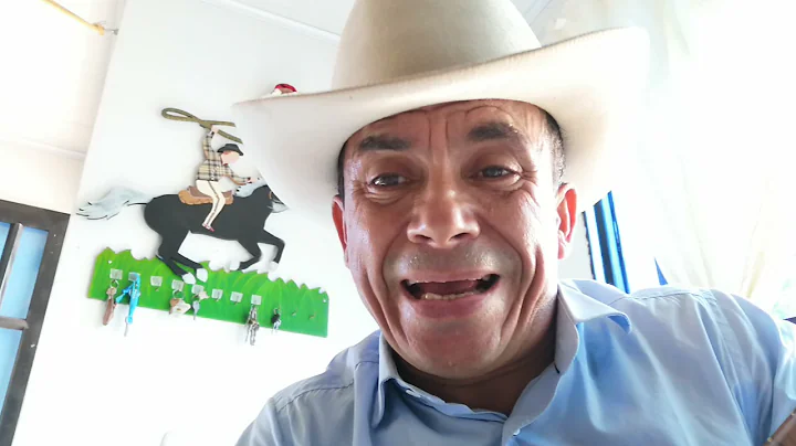 LA CAMPESINA MODERNA AUTOR ALVARO PERILLA