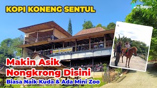 KOPI KONENG SENTUL | Makin Asik Buat Nongkrong Disini - Cafe Hits di Sentul Kids Friendly Banget