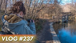 SHOOTING IN THE PARK