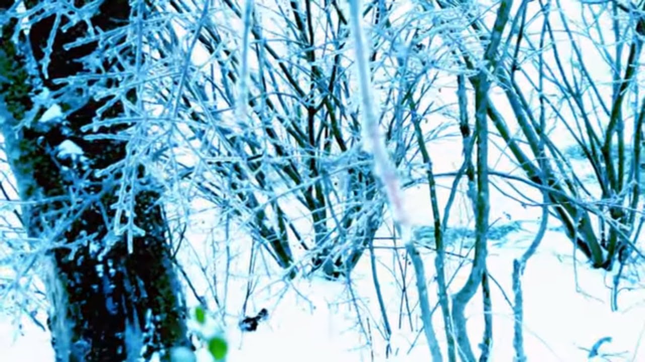 Watch spaecii ~ cold shoulder (visualizer) on YouTube Watch spaecii ~ cold shoulder (visualizer) on YouTube