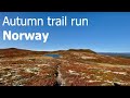 Virtual Run  | Beautiful autumn trail run in the Norwegian Mountains ☀️⛰🍁