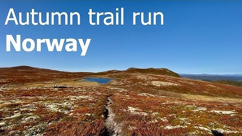 Virtual Run  | Beautiful autumn trail run in the Norwegian Mountains ☀️⛰🍁
