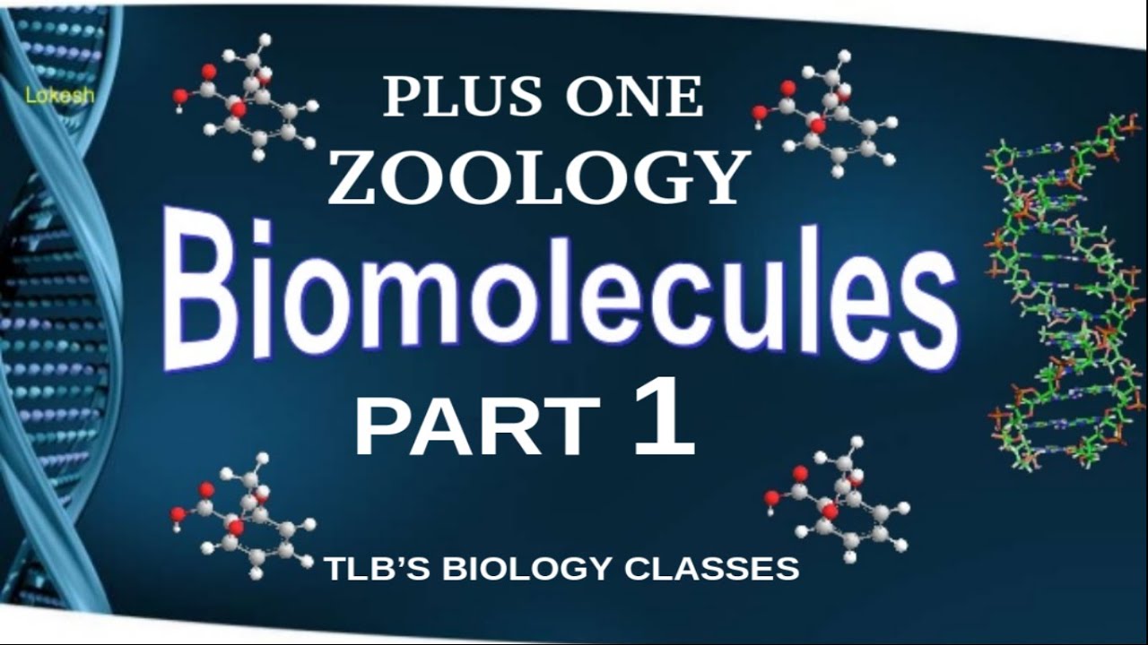 BiomoleculesPart 1Class 11ZoologyKerala Higher SecondaryBiju TL