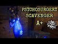 Despoil The Auction A Psychosurgery Scavenger The 