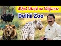 Delhi zoo      animals in zoo  delhi viral delhizoo  anokhe manzar  delhi