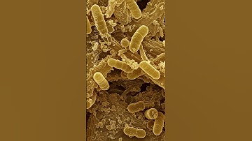 Microscopic Biological science visualization. #animation #biology #3dmedicalanimation #science