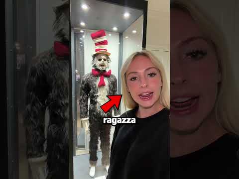 Video Questa RAGAZZA ha RIPRESO il GATTO con il CAPPELLO