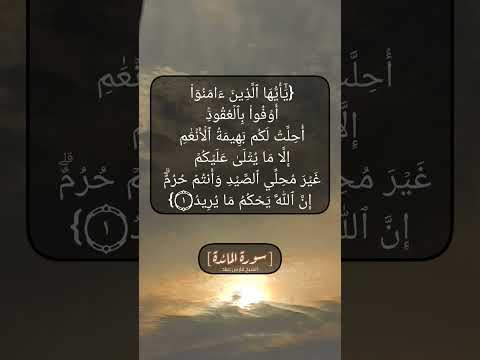 سورة المائدة الآية ١ بصوت الشيخ فارس عباد 