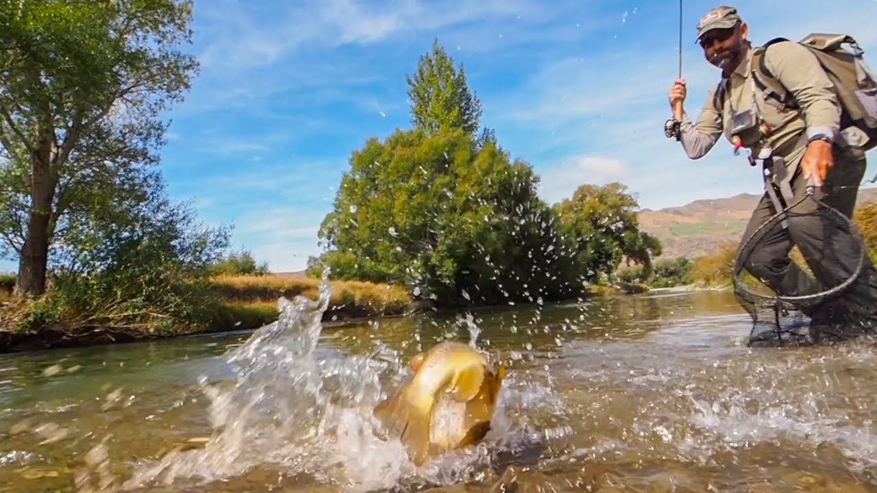 Мы находим ПРЕКРАСНУЮ ручьевую форель [Новая Зеландия}