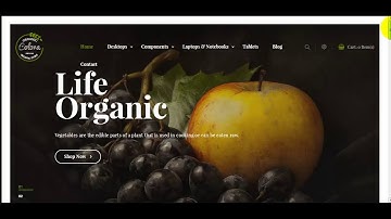 How to install Colora Organic opencart theme