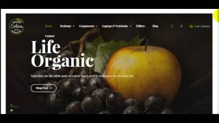 How to install Colora Organic opencart theme