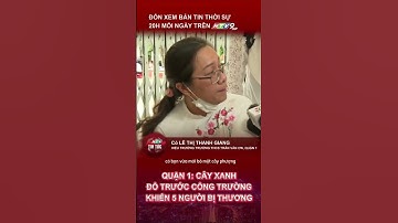 Cây xanh đổ trước cổng trường khiến 5 người bị thương
