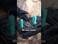 Mice Bait Stations at a Hunting Camp