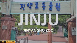 Jinju Jinyang Lake Zoo A Nature Escape For All Ages