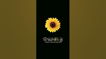 ءأنتم اشد خلقاً أم السماء بناها| سورة النازعات//بصوت رزكار الكردي🖤 تلاوة خاشعة 🌸