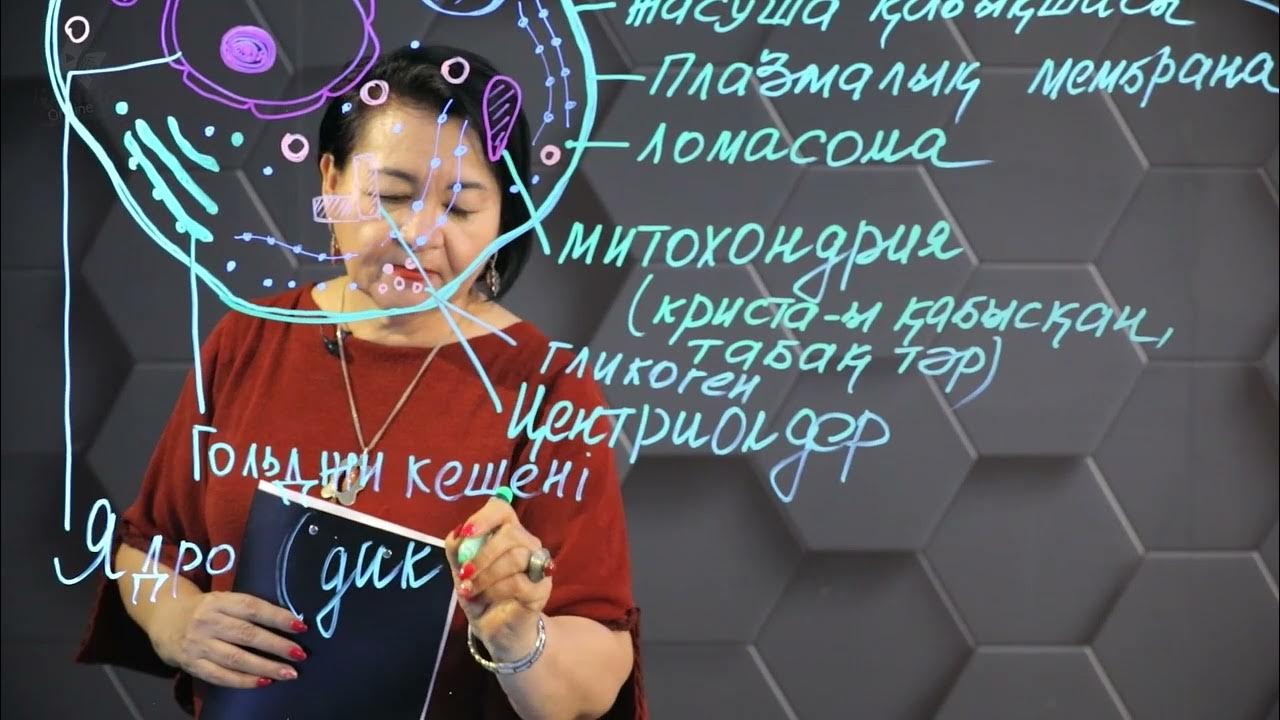 Бұл не, жыныстық қатынас кезінде жыныс мүшесі түсіп қалады?