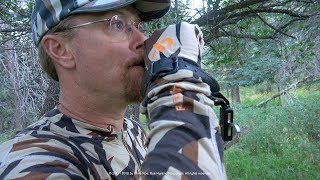Hunting Pressured Bulls on Colorado Public Land - Mid-September Archery 6x6 at 17 Yards!