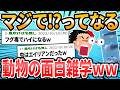 【雑学】マジで！？ってなる生物の雑学【2ch面白いスレ】