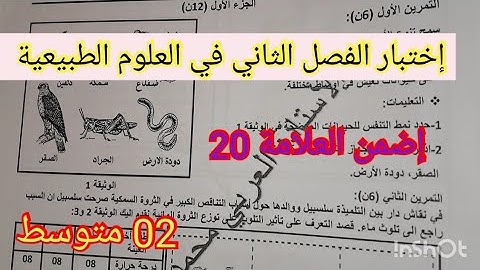 إختبار الفصل الثاني في العلوم الطبيعية السنة الثانية متوسط 2024