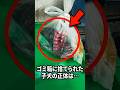 ゴミ袋の中身は…
