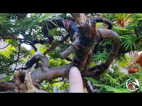 Piegature e rotture