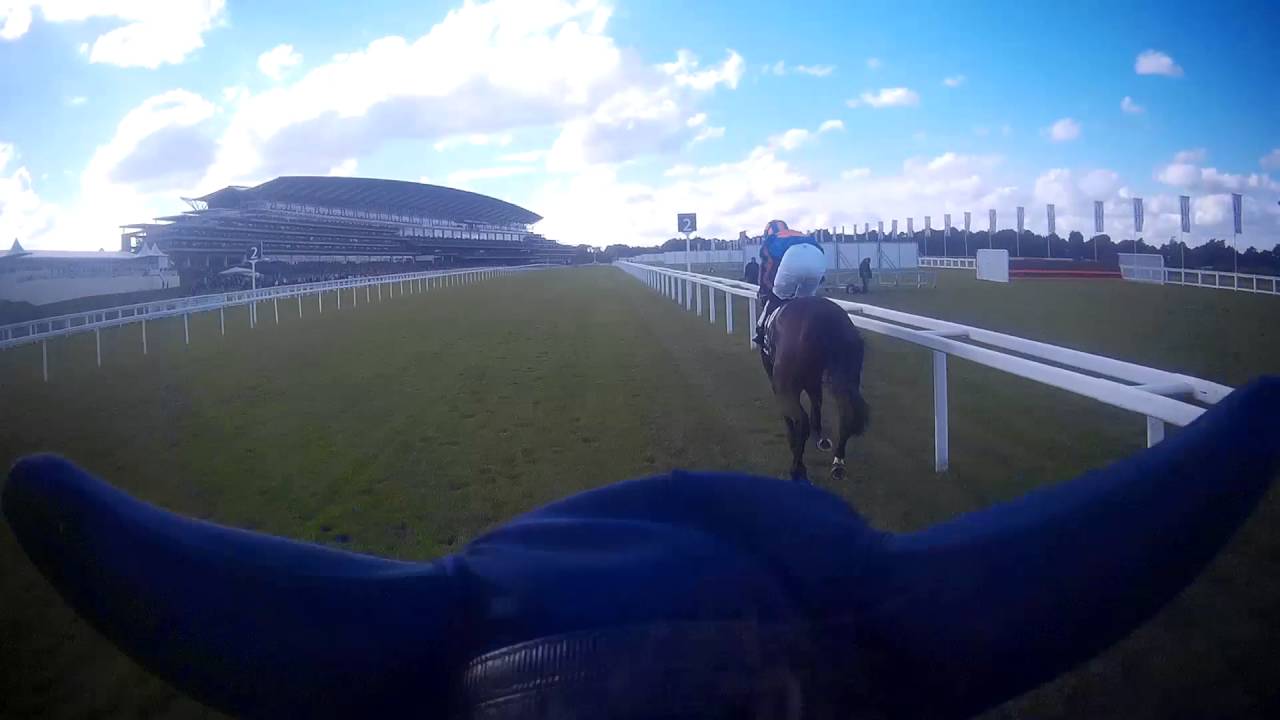 レベルの高い英チャンピオンズデー 振り返りと回顧 競馬つらつら レベルの高い英チャンピオンズデー 振り返りと回顧 競馬つらつら