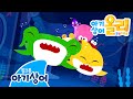 최초공개! [3화] 가자! 난파선으로! | 아기상어 올리 뚜루루뚜루 | 어린이 애니메이션 | 핑크퐁! 아기상어 올리