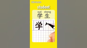 STUDENT in Chinese⎮Write Chinese Characters⎮Hanzi⎮HSK  #chinesehandwriting #learnmandarinchinese