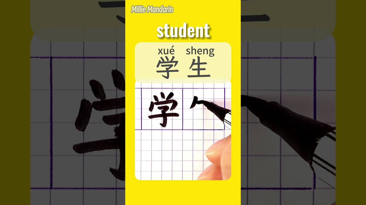 STUDENT in Chinese⎮Write Chinese Characters⎮Hanzi⎮HSK #chinesehandwriting #learnmandarinchinese