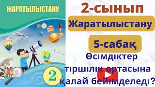 :  5  .      ?