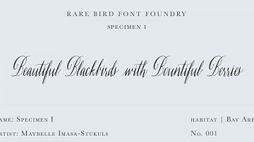 Rare Bird Font Specimen I font video