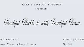 Rare Bird Font Specimen I font video