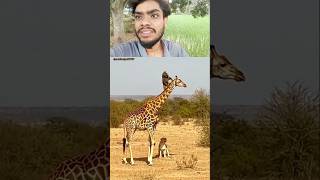 #funnyreactions #reactionshort #reactionmemes