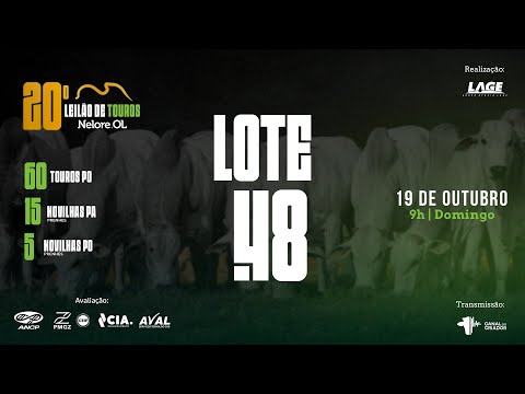 LOTE 48 A6666 PO - 20º Leilão de Touros Nelore OL