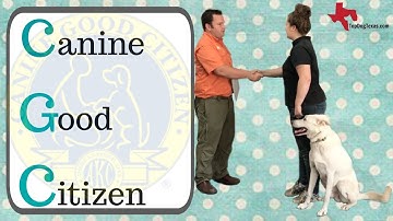 CGC Example Test  |  Canine Good Citizen  |@TopDogTx
