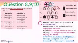DSE Bio │ Chapter 26 Basic Genetics Assignment Part 1 (廣東話)  │ Faith Education