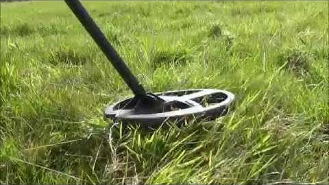 XP Deus Lite Field Test Part 1 ( Snake Buckle )