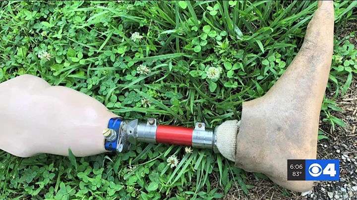 Woman looking for owner of prosthetic leg found in Fenton river bed