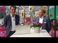 Syngenta flowers business international conference  live at flowertrials 2022