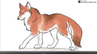 Anime Wolves - Mirrors