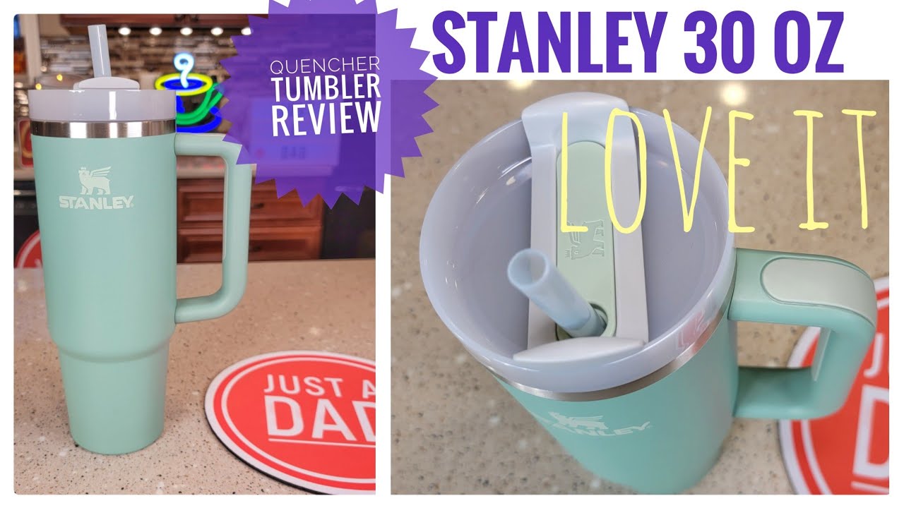 NEW Stanley Adventure 30 oz Tumbler with Handle and Straw H2.0 Review 