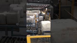 Wooltech Sort System in operation