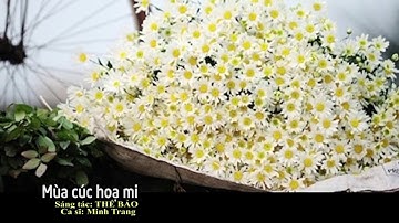 MÙA CÚC HOẠ MI / Sáng tác: Thế Bảo / Ca sĩ Minh Trang Ly Ly