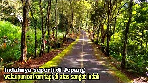 Jalan Dengan Tanjakan extrem menuju Curug cipendok DS, karang tengah,Cilongok,Banyumas Jawa Tengah
