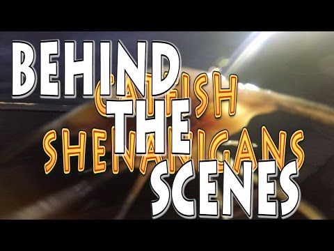 CATFISH SHENANIGANS -   BEHIND THE SCENES
