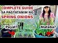 PAANO MAGTANIM NG SPRING ONIONS SA CONTAINER | HOW TO GROW SPRING ONIONS FROM KITCHEN SCRAPS