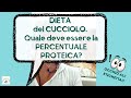 DIETA del CUCCIOLO.  Quale deve essere la percentuale proteica?
