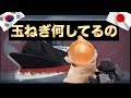 [韓国ニュース]玉ねぎ何してるの